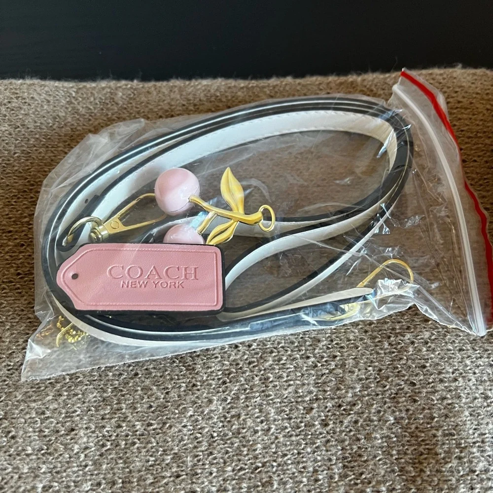 Coach Nolita 19 – Cherry Print (New) | Signature Canvas - Picture 4 of 6